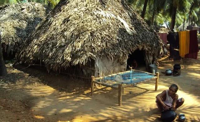 印度农村真面目,住的房子还不如中国农村猪圈