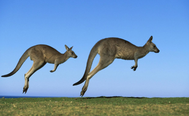 世界上最发达国家最新排名,第一名不是美国,第