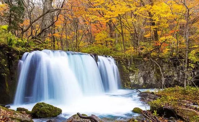 这个地方承包了日本一年四季的美,却因为太低