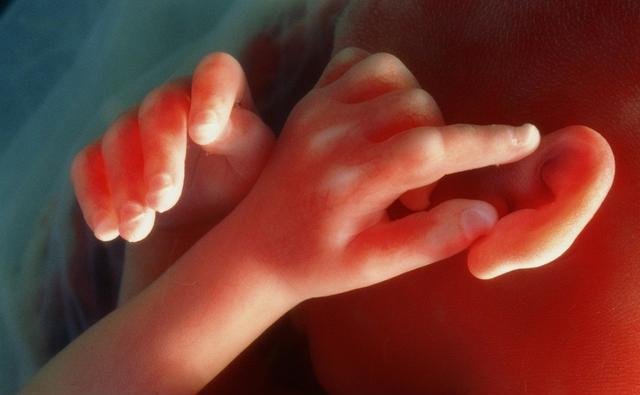 想要宝宝更聪明?先搞明白婴儿的感官是怎么发