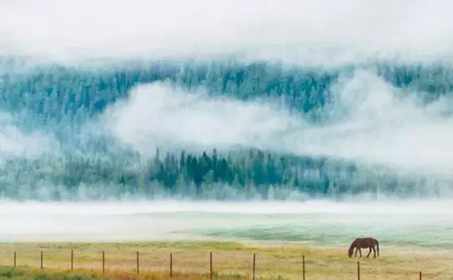 春节最火自驾路线!一路美上天,再不计划就晚了