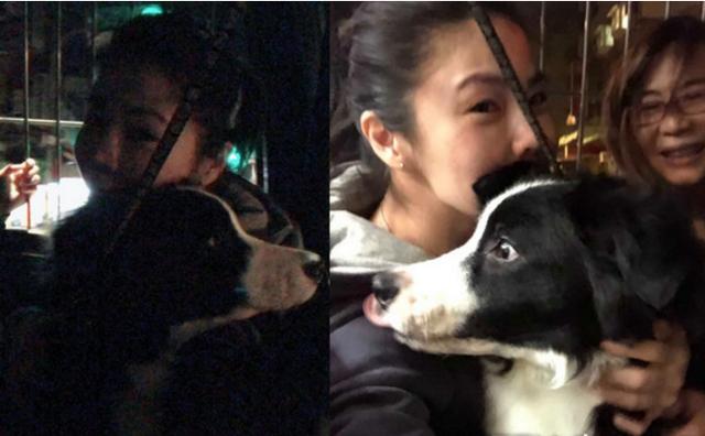 无辜狗狗遭捏嘴痛打，痛苦哀嚎声让爱妈凌晨破门救狗：来了就要救