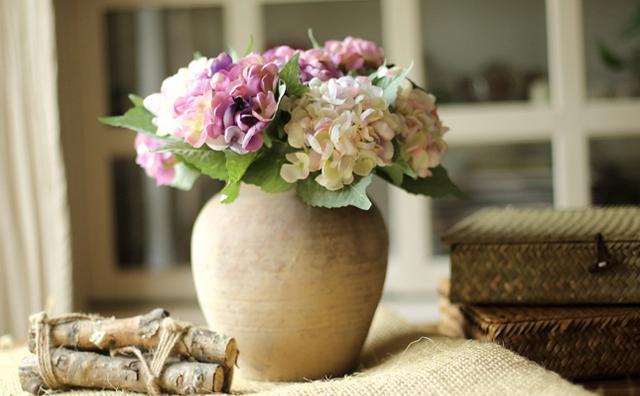 客厅摆放这些花,绣球花飞燕草银叶菊花语盘点