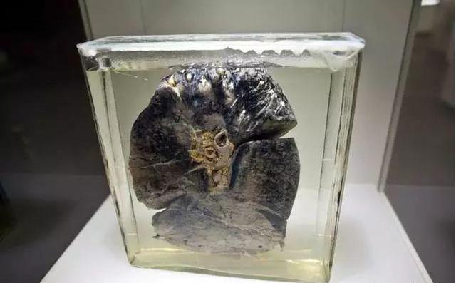 吸烟30年后肺部有多黑?7个信号的出现,你最好