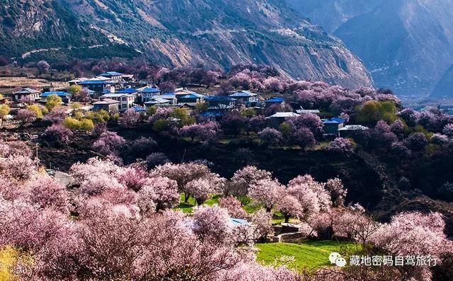 2018年拉萨到成都反走川藏线林芝桃花节+金川