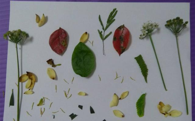 亲子画|有趣的20种叶子拼画更能让孩子发挥创造力