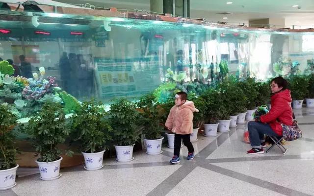 在医院里打造的非常罕见大型鱼缸，网友：有限的空间，无限的创意