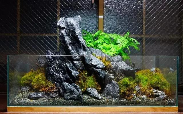 家居水景丨ada作品鉴赏之石景