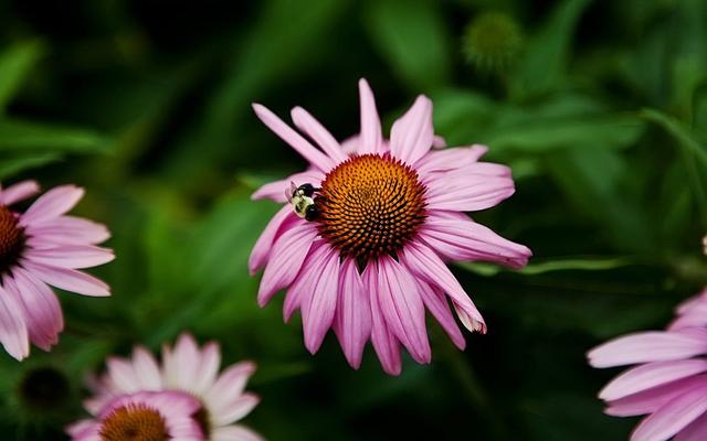 2018年,放下过去,让心归零,咋顺心就咋过