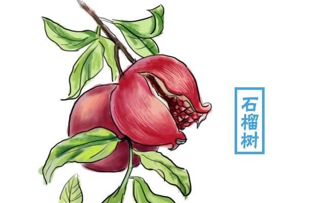 秦始皇陵上为啥要种这么多石榴树? 它们和一种传说中