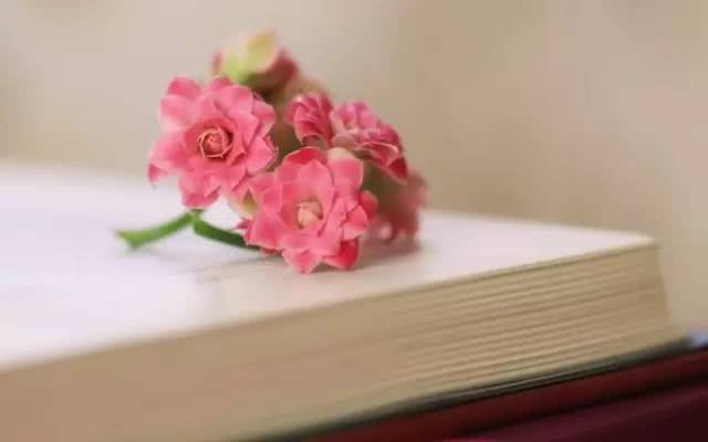 太强大了!领导讲话稿小标题大全,笔杆子收藏备