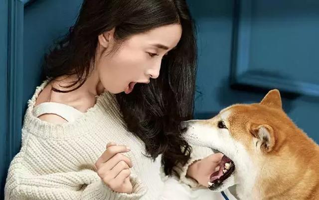 林依晨曾是胡歌的“择偶标准”,被郑元畅、陈柏霖深爱