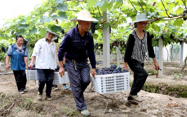 现在农村家庭,一年收入8万元算高吗?