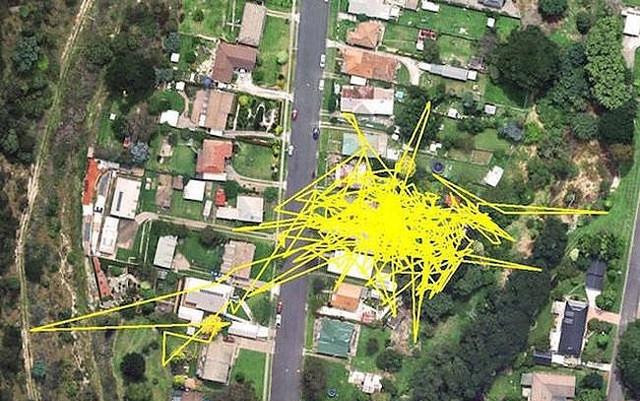 猫记万里,BBC纪录片《猫咪的秘密生活》告诉