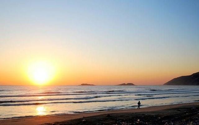 失传钓法，钓梭鱼必爆护