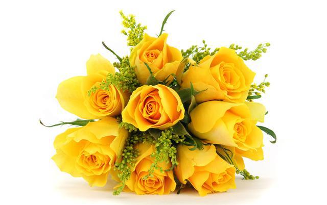 黄玫瑰介绍及花语,玫瑰系列之黄玫瑰,送给友情