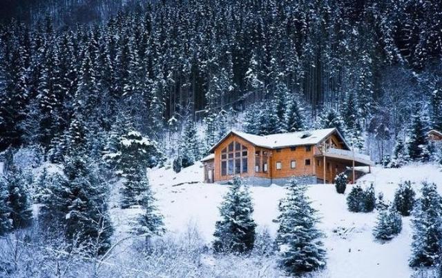 “雪中景色”壁纸(无水印)大雪纷飞的森林小屋,意境满满