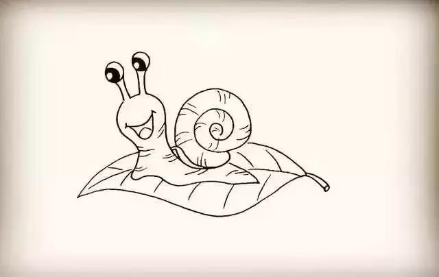 【简笔画】画一只积极向上的蜗牛