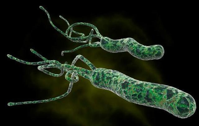 幽门螺旋杆菌能自愈吗？常吃这6种食物，它们是胃病的死对头！