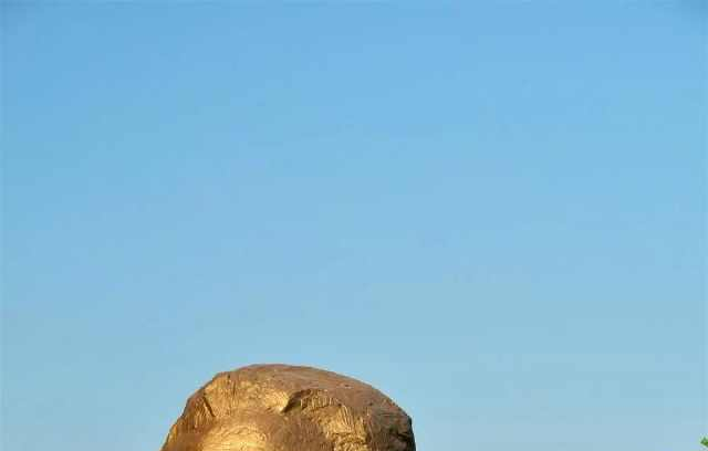 颜值美爆的深圳人才公园,你还不去看看吗?