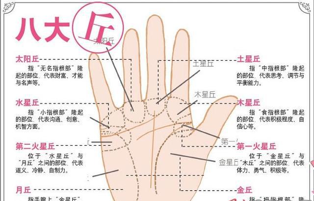 精准,手相看你是否福泽深厚