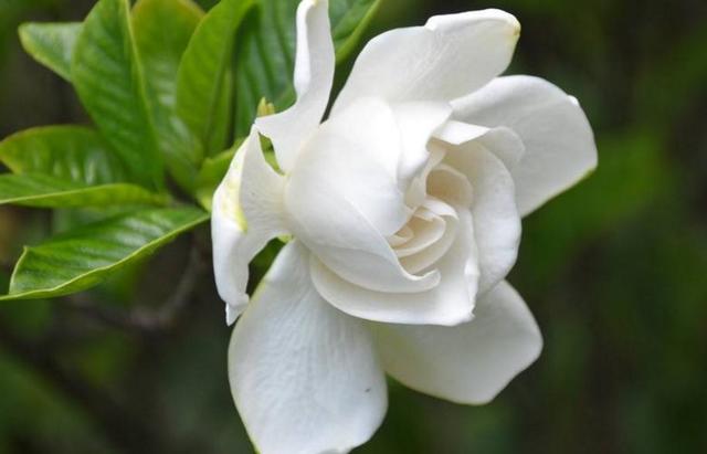 人穷志短(精辟、无奈、句句扎心)