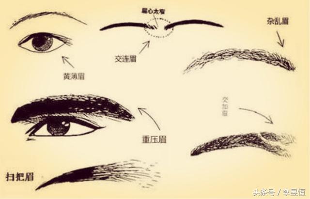 面相十二宫(3)-眉毛兄弟宫解释