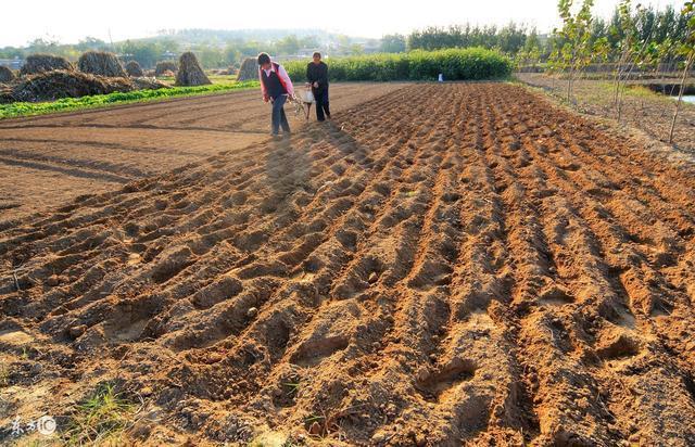 子女是非农户口, 能继承农村老家的宅基地和承