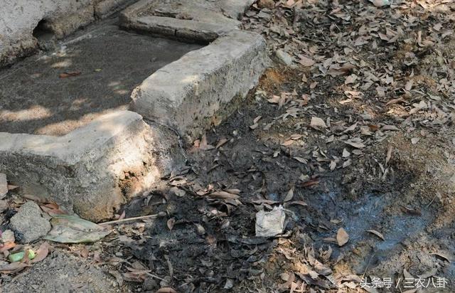 2018年新税收政策出台,这些农民不仅要交税,还