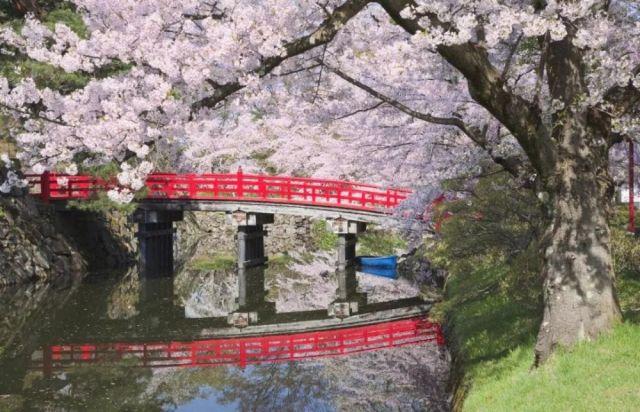 2018日本樱花开放时间表新鲜出炉!盘点最佳十