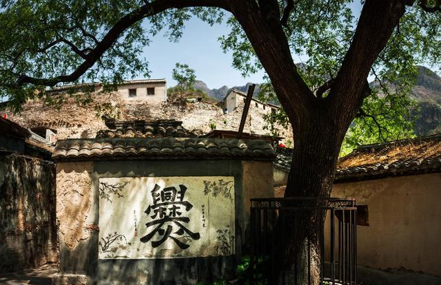 50岁的母亲瞒着我和妹妹又生了一个儿子,明确