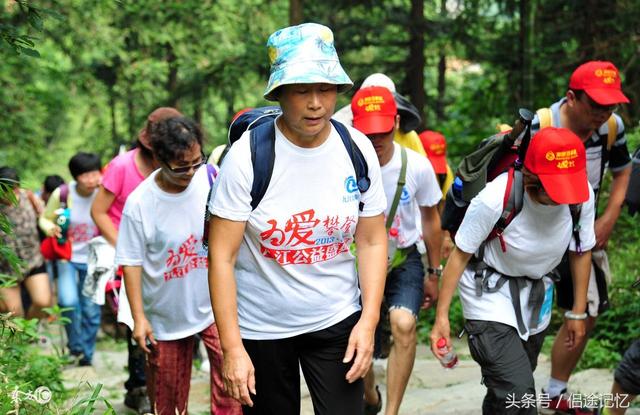 老年人旅游,选择跟团还是自由行?