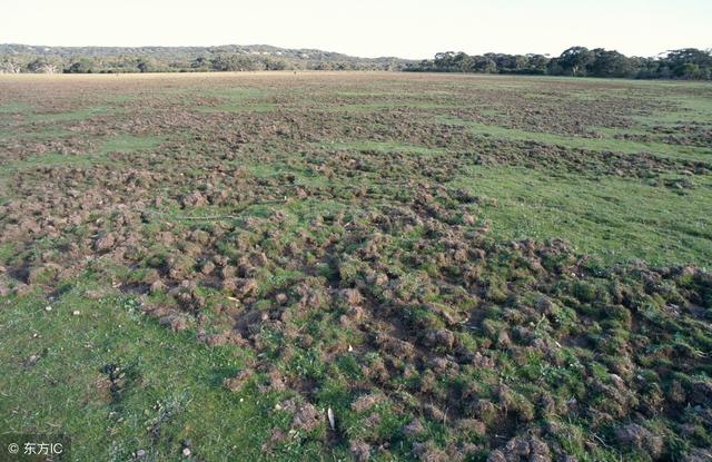 注意:2018年,土地补贴政策大调整,部分农民要