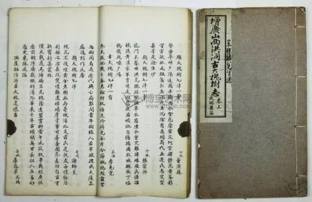 山西洪洞大槐树移民真相深度揭秘 震惊!山西洪洞大槐树移民真相深度揭秘