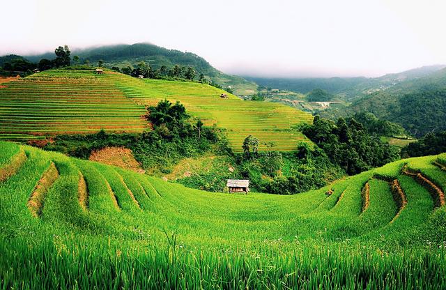 想要立足于社会必须记住的20句话(句句精辟)