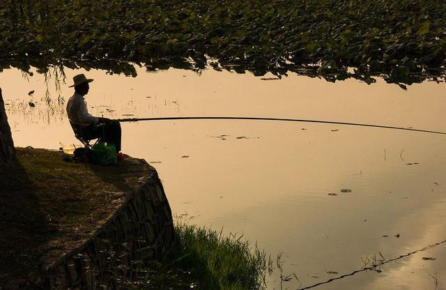 夏天钓鱼的时候气压太低了怎么办?