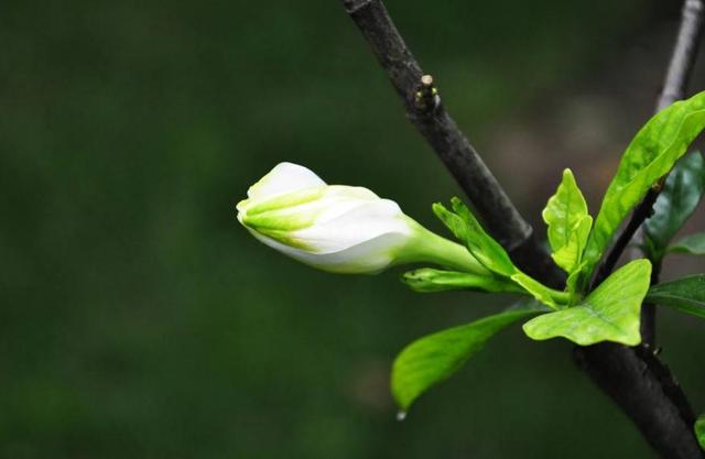 人穷志短(精辟、无奈、句句扎心)