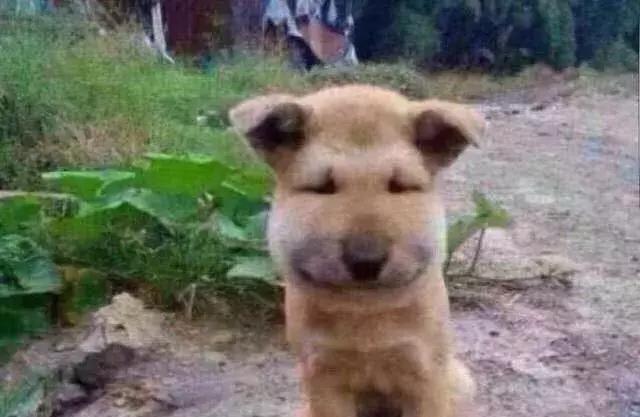 感受下各种被蜜蜂蛰后的样子,大家千万不要招蜂!不然你可能