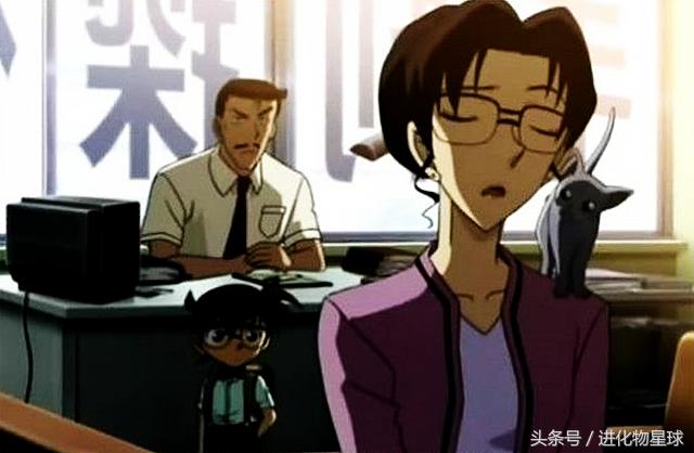 名侦探柯南里的猫咪五郎是俄罗斯蓝猫还是英短