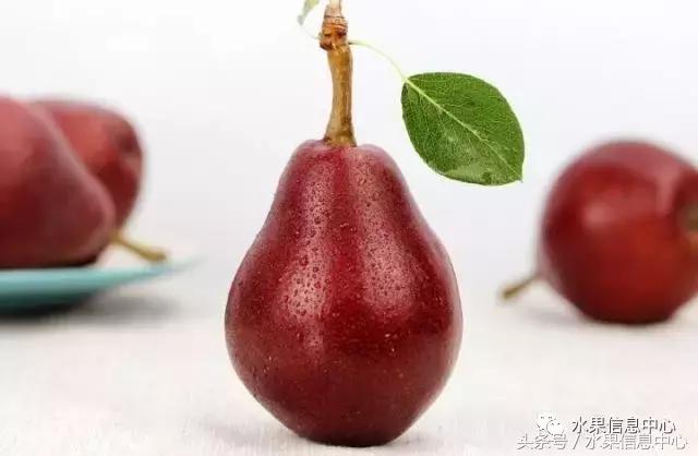 最全梨子产地品种指南,水果人必备