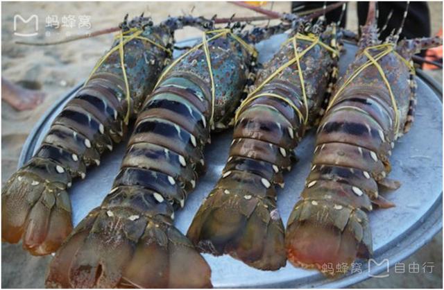 这份芽庄亲子攻略,让你出国遛娃也能说走就走