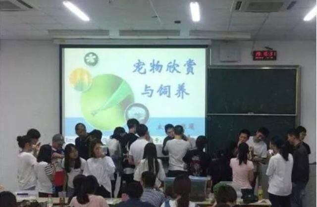 大学老师上课,竟然要求带上宠物,这都是别人学