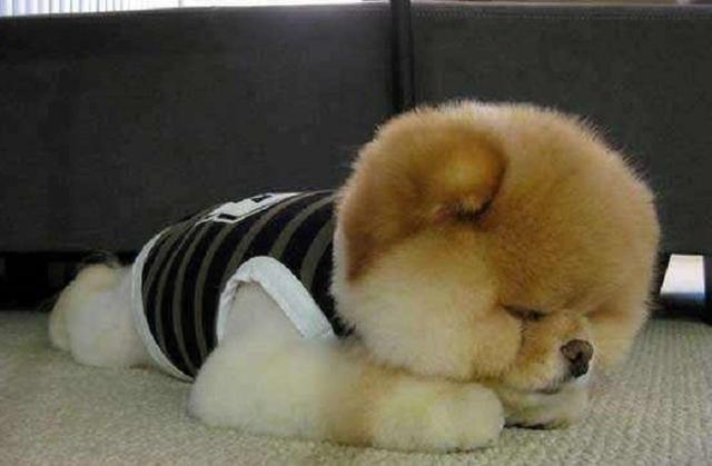 搞笑段子:韭菜割了会越长越粗,我现在有个大胆