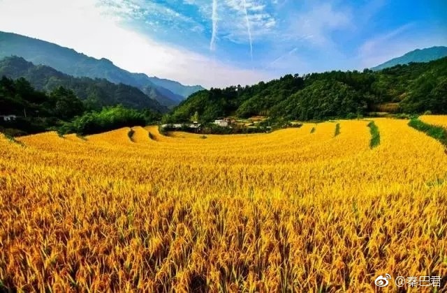 【重磅】2017中国养老城市排行榜50强发布,这