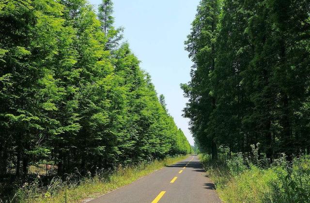 江苏面积第一县级市:号称省计划单列市,经济却