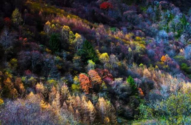 10月份中国这8个地方美成了仙境,你居然一个也