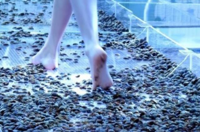 奇葩:走秀t台上放虫子,美女模特走过踩爆虫子吱吱作响