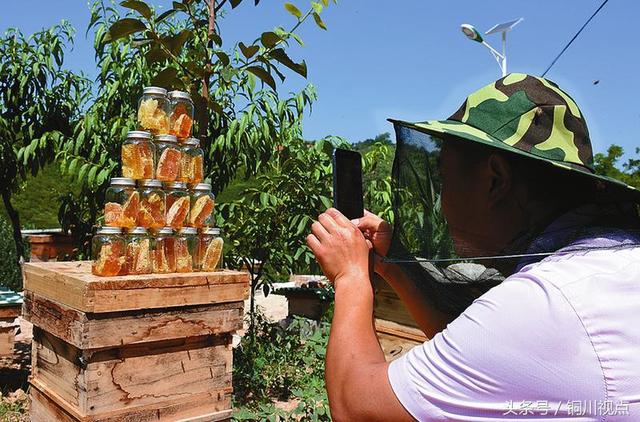 铜川28岁小伙返乡创业养蜜蜂 带领村民脱贫致富