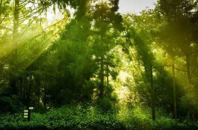 昆明大树营晚上怎么玩不会踩雷，夜游实测及避坑全攻略