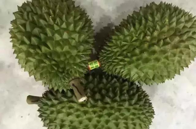 史上最全榴莲品种产地分类大全